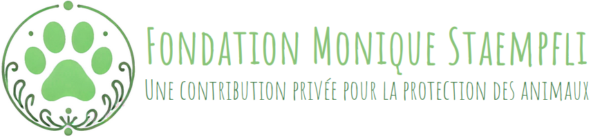 Fondation Monique Staempfli